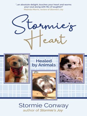cover image of Stormie's Heart